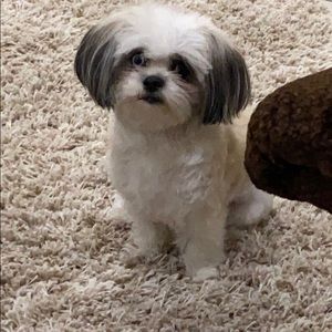 Meet your Posher, Jamie